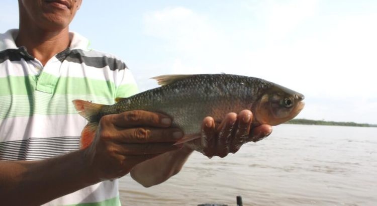Postulan la pesca artesanal en el río Magdalena como patrimonio cultural inmaterial de la nación