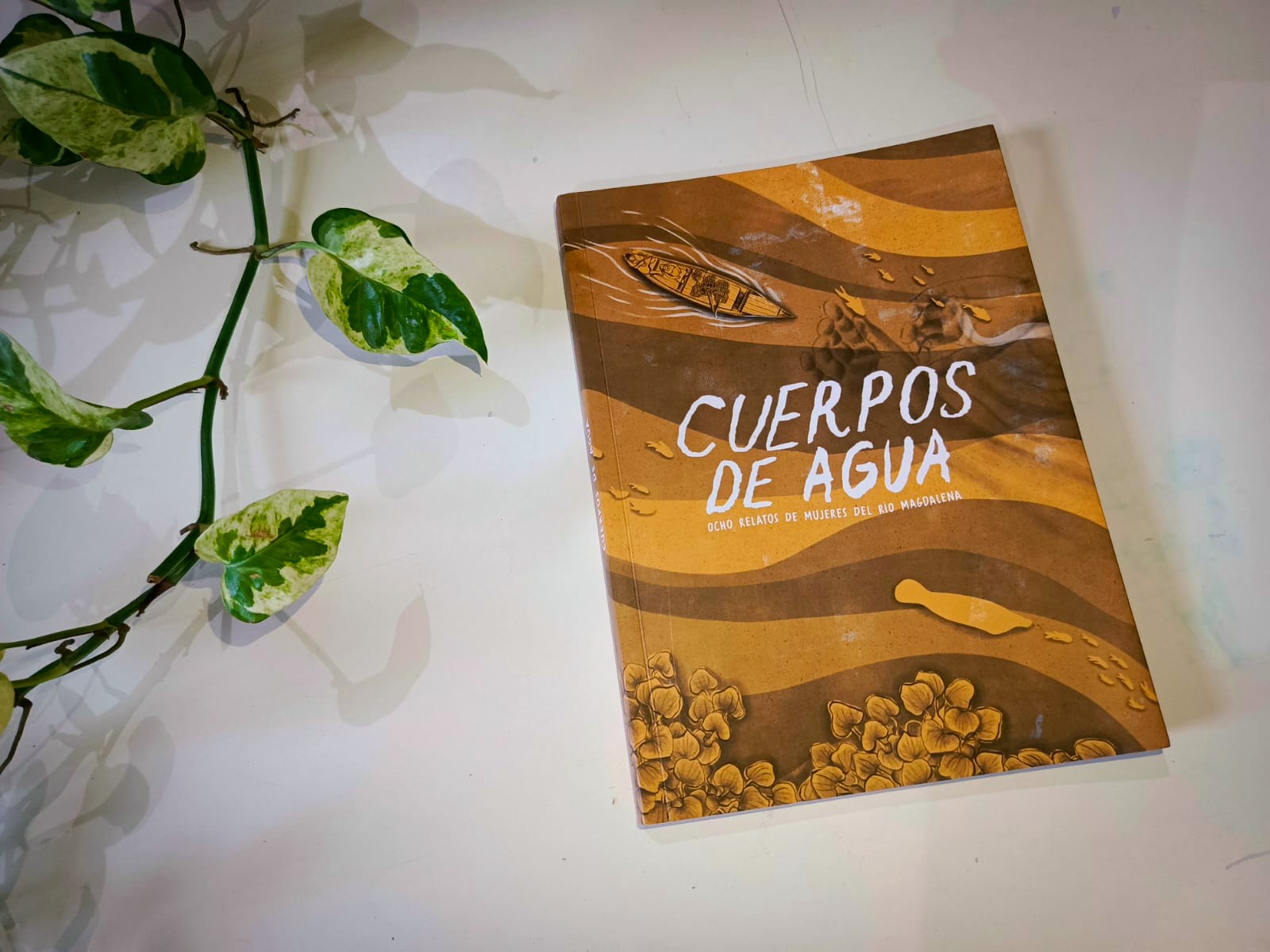 Cuerpos de Agua